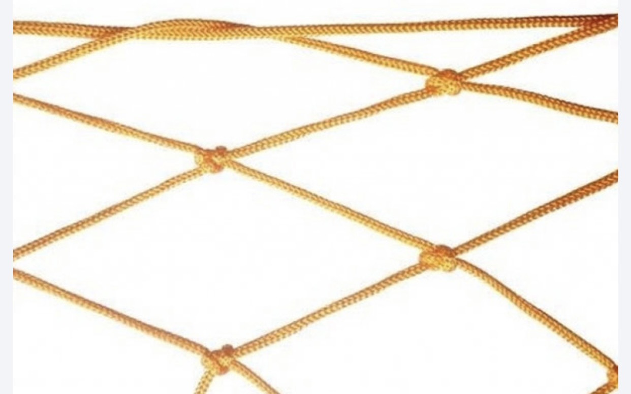 z4529448532995_ab57c4384ad7234c388af4335728e8c6